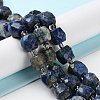 Natural Lapis Lazuli Beads Strands G-B065-A03-2