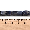 Natural Sodalite Beads Strands G-F791-C04-5