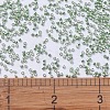 MIYUKI Delica Beads SEED-JP0008-DB0413-4