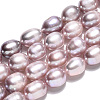 Natural Cultured Freshwater Pearl Beads Strands PEAR-N012-07P-4