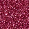 MIYUKI Delica Beads X-SEED-J020-DB2154-3