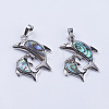 Abalone Shell/Paua Shell Pendants X-SSHEL-L008-11P-2