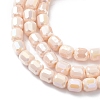 Electroplate Glass Beads Strands EGLA-K015-08B-3