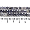 Natural Iolite Beads Strands G-J400-E05-02-5