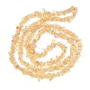 Heated Natural Citrine(Heated) Beads Strands G-K395-C01-01-3