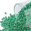 TOHO 11/0 Round Beads X-SEED-TR11-0561-1