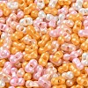 Glass Seed Beads SEED-L011-04A-19-3