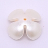 ABS Imitation Pearl Cabochons Accessories FIND-TAC0001-16-2