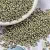 MIYUKI Round Rocailles Beads X-SEED-G008-RR4201-1