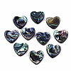 Natural Abalone Shell/Paua Shell Beads SSHEL-T014-16C-1