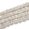 Natural Cultured Freshwater Pearl Beads PEAR-D087-1-4