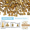 2 Sets DIY Jewelry Making Finding Kits FIND-SC0019-64AG-2