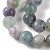 Natural Fluorite Beads Strands G-P530-B04-05-3