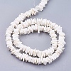 Natural Sea Shell Beads Strands X-BSHE-K012-08E-2