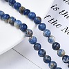 Natural Sodalite Beads Strands G-S279-10-6mm-5