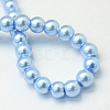 Baking Painted Pearlized Glass Pearl Round Bead Strands HY-Q003-10mm-24-4