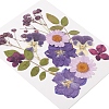 Pressed Dried Flowers DIY-YWC0001-102-4