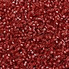 MIYUKI Delica Beads SEED-X0054-DB2159-3