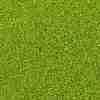 TOHO 15/0 Round Beads SEED-XTR15-0004-2
