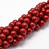 Shell Pearl Beads Strands X-BSHE-L026-01-8mm-1