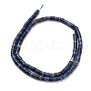 Natural Sodalite Beads Strands G-Z110-A03-2x4mm-3