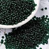 MIYUKI Round Rocailles Beads X-SEED-G008-RR0156F-1