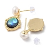 Pearl & Paua Shell Dangle Stud Earrings EJEW-P256-09G-2