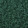 MIYUKI Round Rocailles Beads SEED-G007-RR0147F-3
