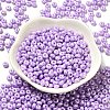 Baking Paint Luster Glass Seed Beads SEED-B001-04A-09-2