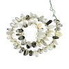 Natural Prehnite Beads Strands G-Z091-A44-2