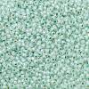 TOHO Round Seed Beads SEED-TR11-PF2118-2