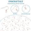 316 Surgical Stainless Steel Earring Hooks STAS-P220-13RG-5