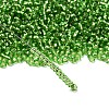 FGB 8/0 Grade A Round Glass Seed Beads SEED-Q007-3mm-F49-4