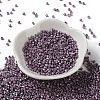 Baking Paint Glass Seed Beads X-SEED-S042-15A-14-2