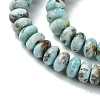 Natural Larimar Beads Strands G-H004-A01-01-4