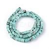 Natural Howlite Beads Strands TURQ-L030-03A-3