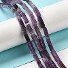 Natural Lepidolite/Purple Mica Stone Beads Strands G-E612-C05-A-2