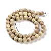 Natural Rainbow Alashan Agate Beads Strands G-NH0022-A-02-4