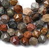 Natural Picasso Jasper Beads Strands G-Z119-A25-01-5