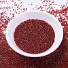MIYUKI Delica Beads SEED-MY11-DB0295-2