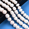 Natural Cultured Freshwater Pearl Beads Strands PEAR-N012-10E-2