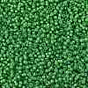 MIYUKI Round Rocailles Beads X-SEED-G009-RR3763-3