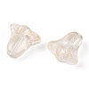 Spray Painted Transparent Glass Beads GLAA-D006-20A-2