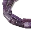 Natural Lepidolite/Purple Mica Stone Beads Strands G-E612-C05-A-4