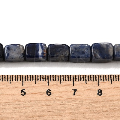Natural Sodalite Beads Strands G-F791-C04-1