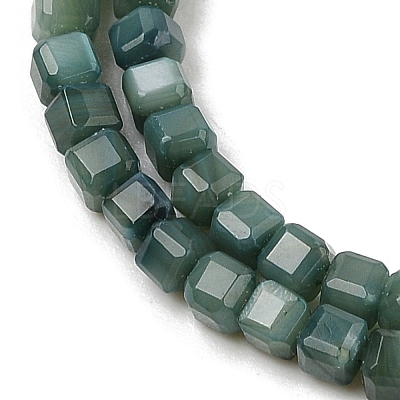 Natural Freshwater Shell Dyed Beads Strands SHEL-R100-11A-05-1