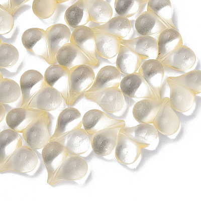 Transparent Acrylic Beads MACR-S373-70-B13-1