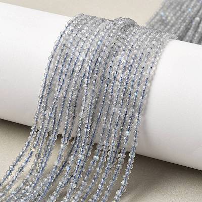 Natural Labradorite Beads Strands G-RM241221-A10-1