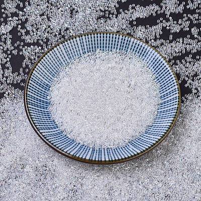 MIYUKI Delica Beads SEED-X0054-DB0051-1