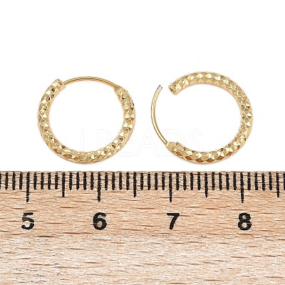 Brass Textured Hoop Earrings EJEW-F378-03B-G-1